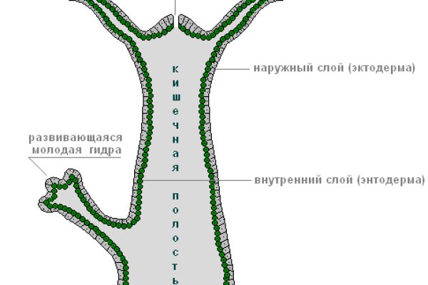 Как пишется сайт омг