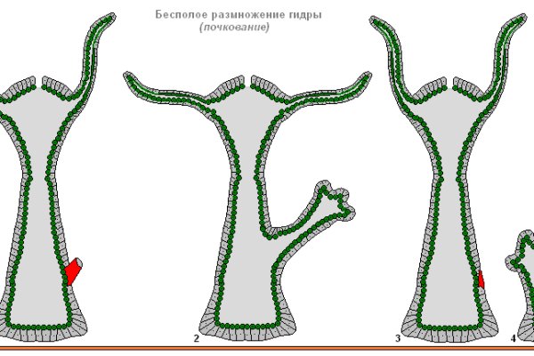 Где купить наркотики