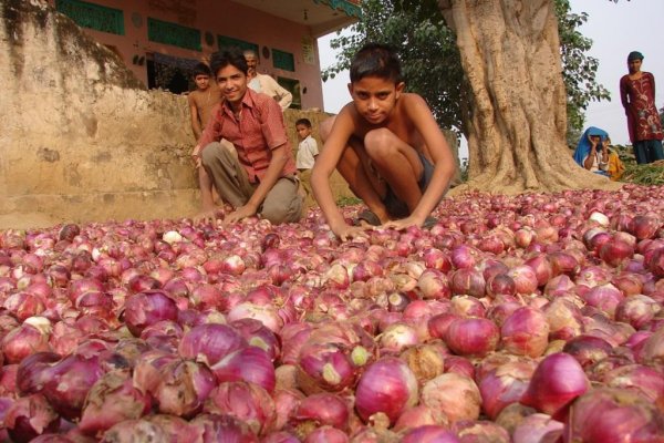 Блэкспрут нарко сайт BlackSprut ssylka onion com