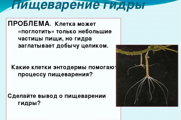 Как пополнить биткоин кошелек на меге